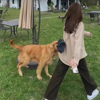 无辜囚徒